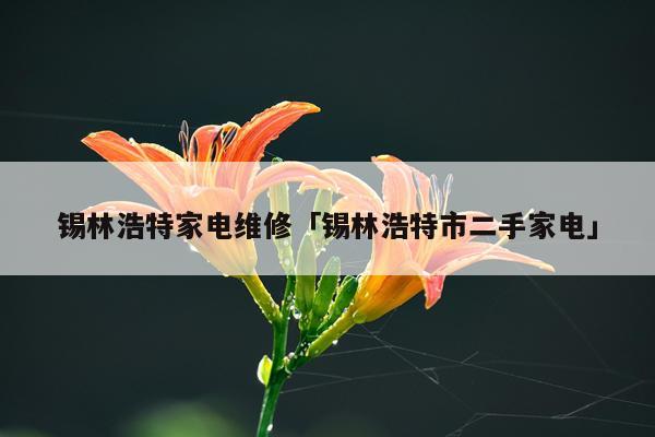 锡林浩特家电维修「锡林浩特市二手家电」