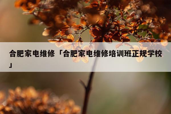 合肥家电维修「合肥家电维修培训班正规学校」