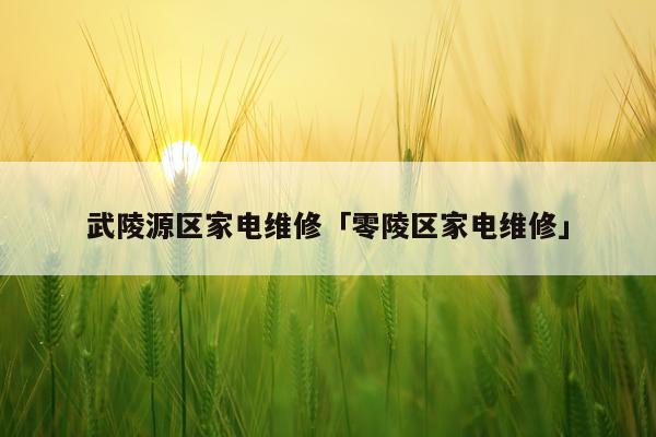 武陵源区家电维修「零陵区家电维修」