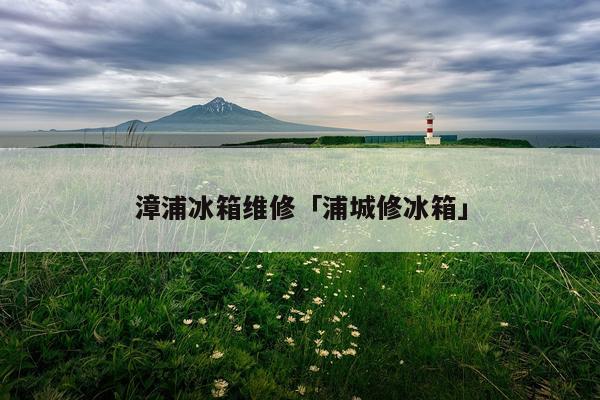 漳浦冰箱维修「浦城修冰箱」