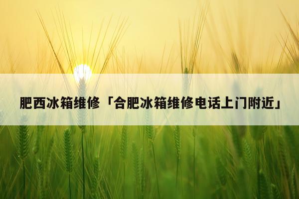 肥西冰箱维修「合肥冰箱维修电话上门附近」