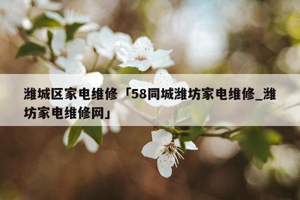 潍城区家电维修「58同城潍坊家电维修_潍坊家电维修网」