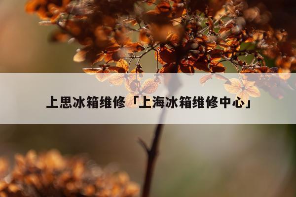 上思冰箱维修「上海冰箱维修中心」