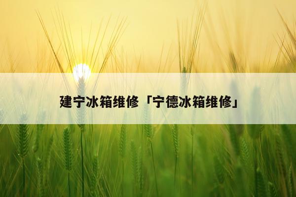 建宁冰箱维修「宁德冰箱维修」