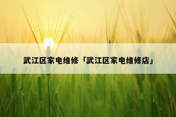 武江区家电维修「武江区家电维修店」