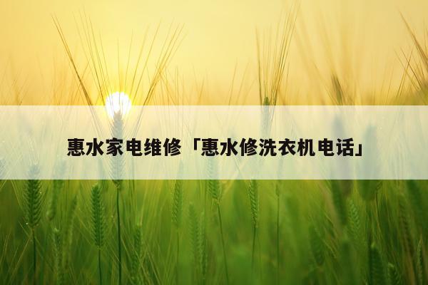 惠水家电维修「惠水修洗衣机电话」