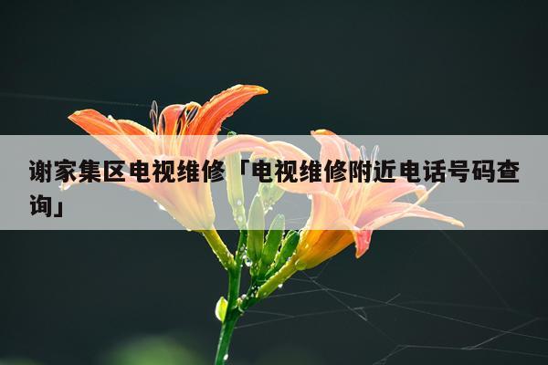 谢家集区电视维修「电视维修附近电话号码查询」