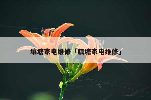 壤塘家电维修「藕塘家电维修」