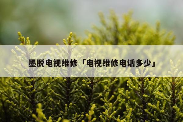 墨脱电视维修「电视维修电话多少」