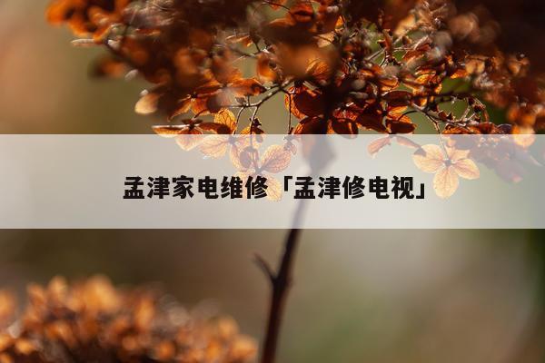 孟津家电维修「孟津修电视」