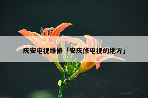 庆安电视维修「安庆修电视的地方」