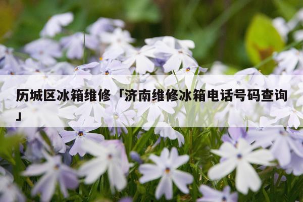 历城区冰箱维修「济南维修冰箱电话号码查询」