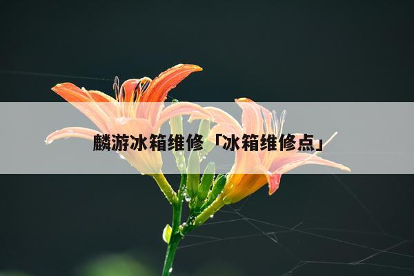麟游冰箱维修「冰箱维修点」