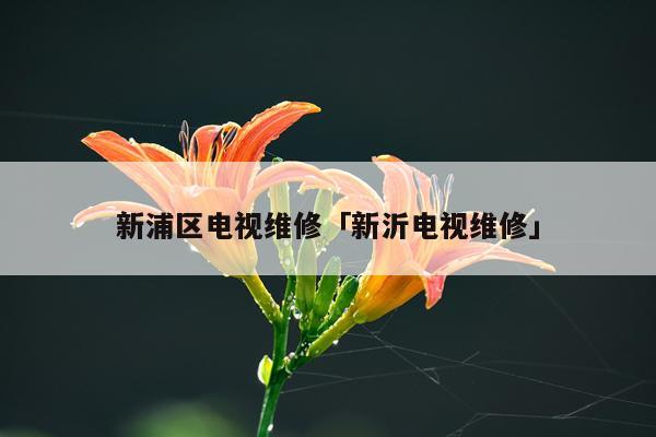 新浦区电视维修「新沂电视维修」