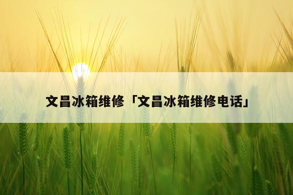 文昌冰箱维修「文昌冰箱维修电话」