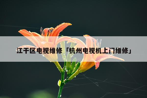 江干区电视维修「杭州电视机上门维修」