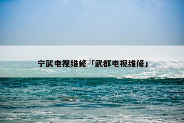 宁武电视维修「武都电视维修」