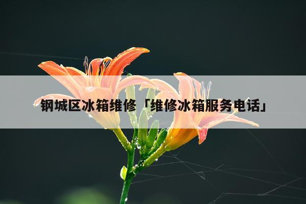 钢城区冰箱维修「维修冰箱服务电话」