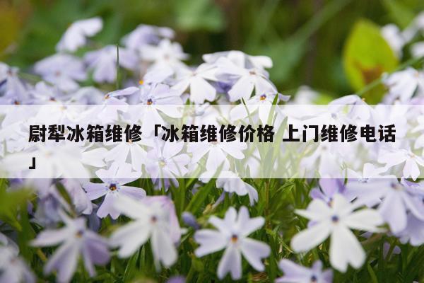 尉犁冰箱维修「冰箱维修价格 上门维修电话」