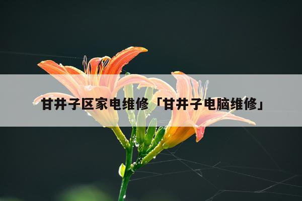 甘井子区家电维修「甘井子电脑维修」