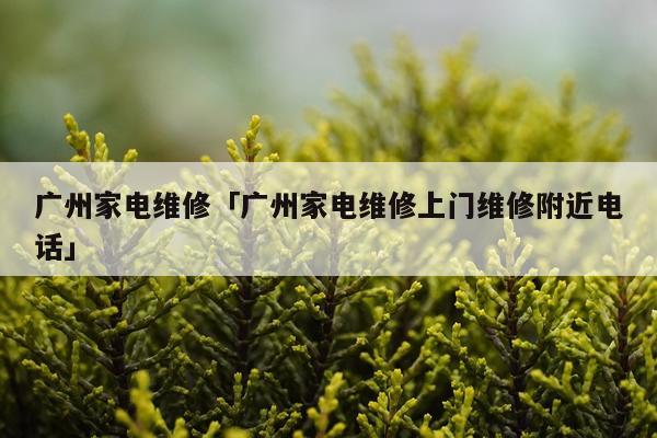 广州家电维修「广州家电维修上门维修附近电话」