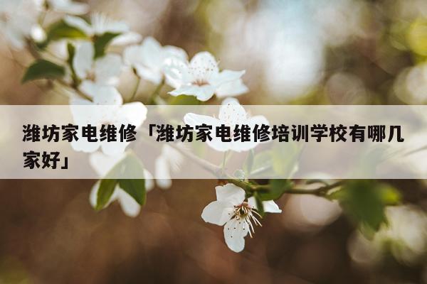 潍坊家电维修「潍坊家电维修培训学校有哪几家好」