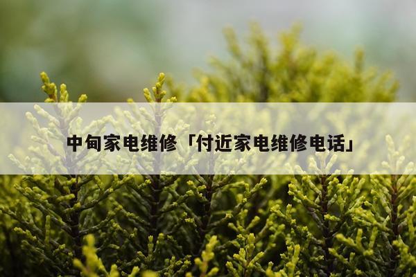 中甸家电维修「付近家电维修电话」