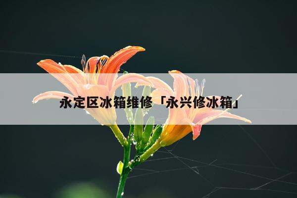 永定区冰箱维修「永兴修冰箱」