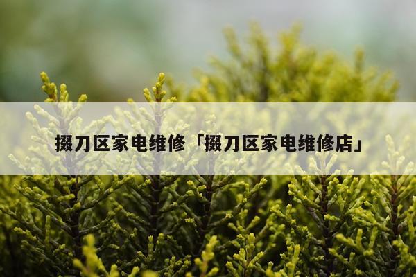 掇刀区家电维修「掇刀区家电维修店」