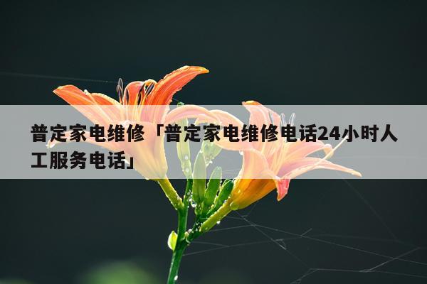 普定家电维修「普定家电维修电话24小时人工服务电话」