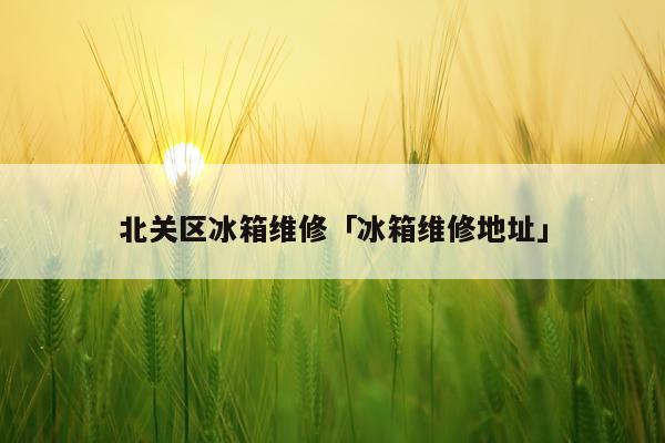 北关区冰箱维修「冰箱维修地址」