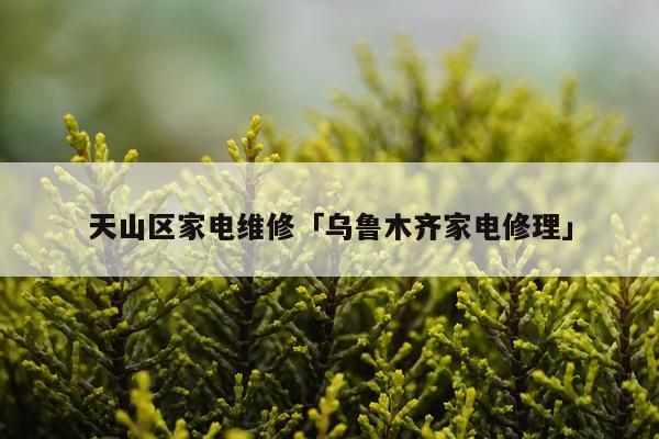 天山区家电维修「乌鲁木齐家电修理」