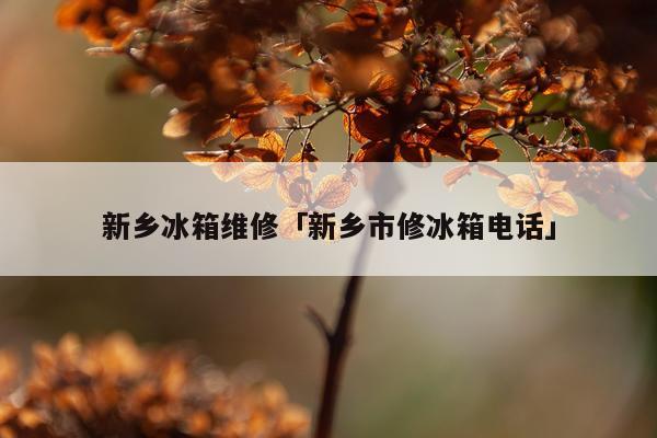 新乡冰箱维修「新乡市修冰箱电话」