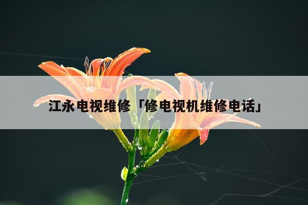 江永电视维修「修电视机维修电话」