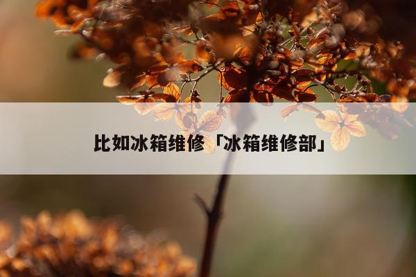 比如冰箱维修「冰箱维修部」
