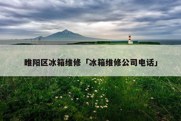 睢阳区冰箱维修「冰箱维修公司电话」