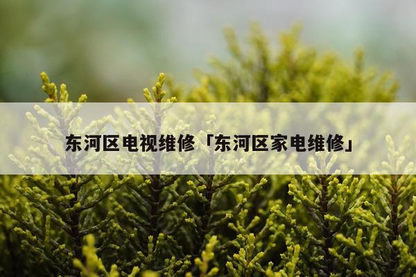 东河区电视维修「东河区家电维修」
