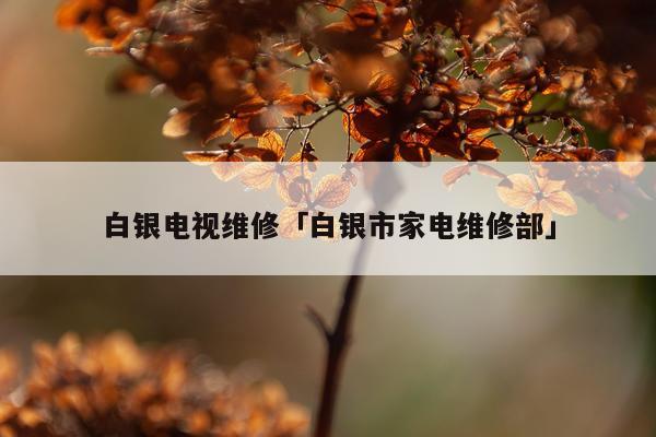 白银电视维修「白银市家电维修部」