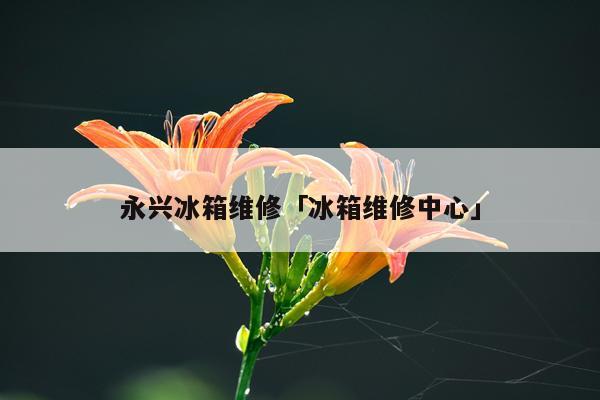 永兴冰箱维修「冰箱维修中心」