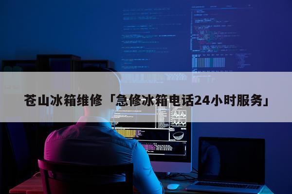 苍山冰箱维修「急修冰箱电话24小时服务」