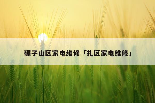 碾子山区家电维修「扎区家电维修」