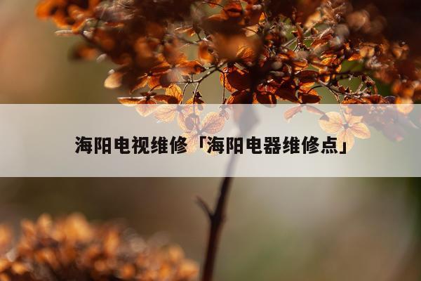 海阳电视维修「海阳电器维修点」