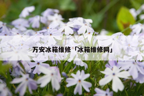 万安冰箱维修「冰箱维修网」