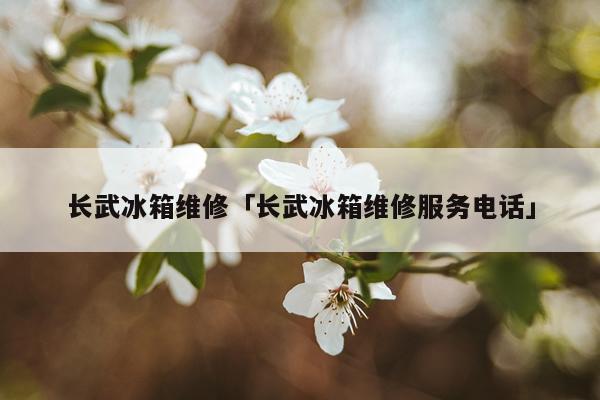 长武冰箱维修「长武冰箱维修服务电话」