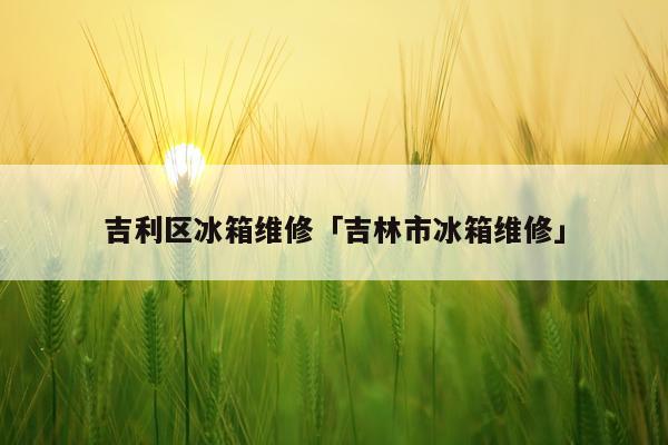 吉利区冰箱维修「吉林市冰箱维修」