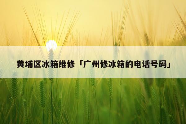 黄埔区冰箱维修「广州修冰箱的电话号码」