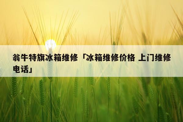翁牛特旗冰箱维修「冰箱维修价格 上门维修电话」