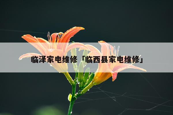 临泽家电维修「临西县家电维修」