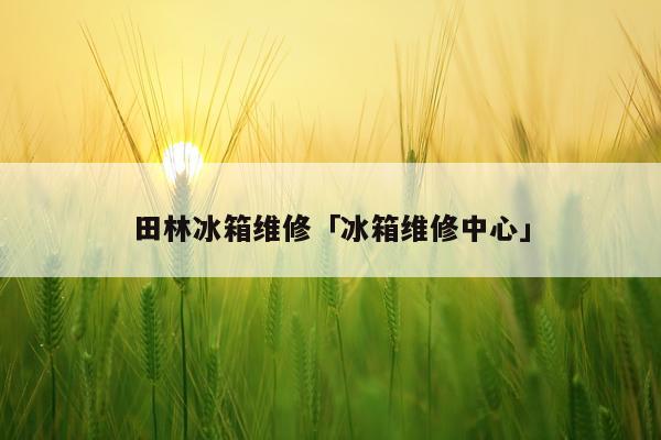 田林冰箱维修「冰箱维修中心」