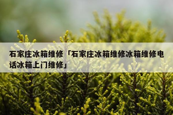 石家庄冰箱维修「石家庄冰箱维修冰箱维修电话冰箱上门维修」